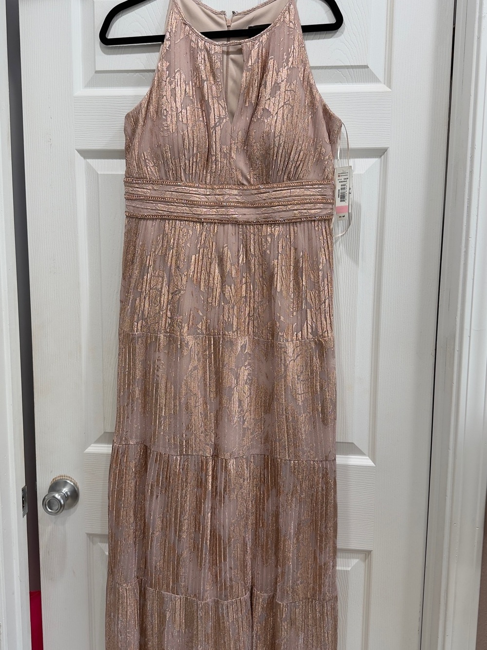 R&M Richards Blush Maxi Dress with Gold Accents